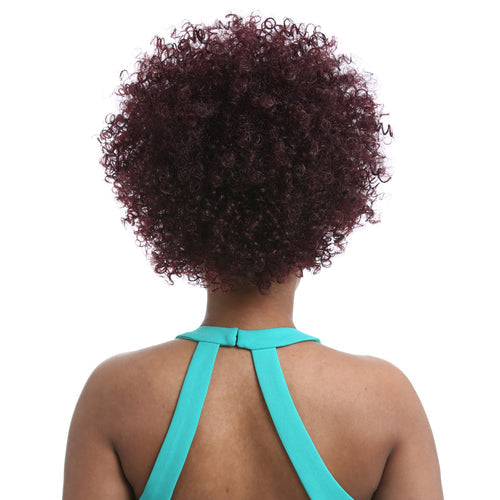 Sensationnel Synthetic Hair DrawString Ponytail Instant Pony Natural Afro 10"