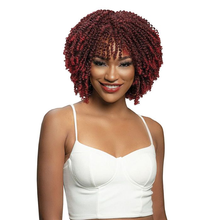 Janet Collection Natural Curly Premium Synthetic Full Wig - NATURAL AFRO RETA - Hollywood Beauty STL